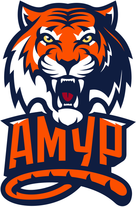 Amur Khabarovsk 2014-Pres Secondary logo iron on transfers for T-shirts